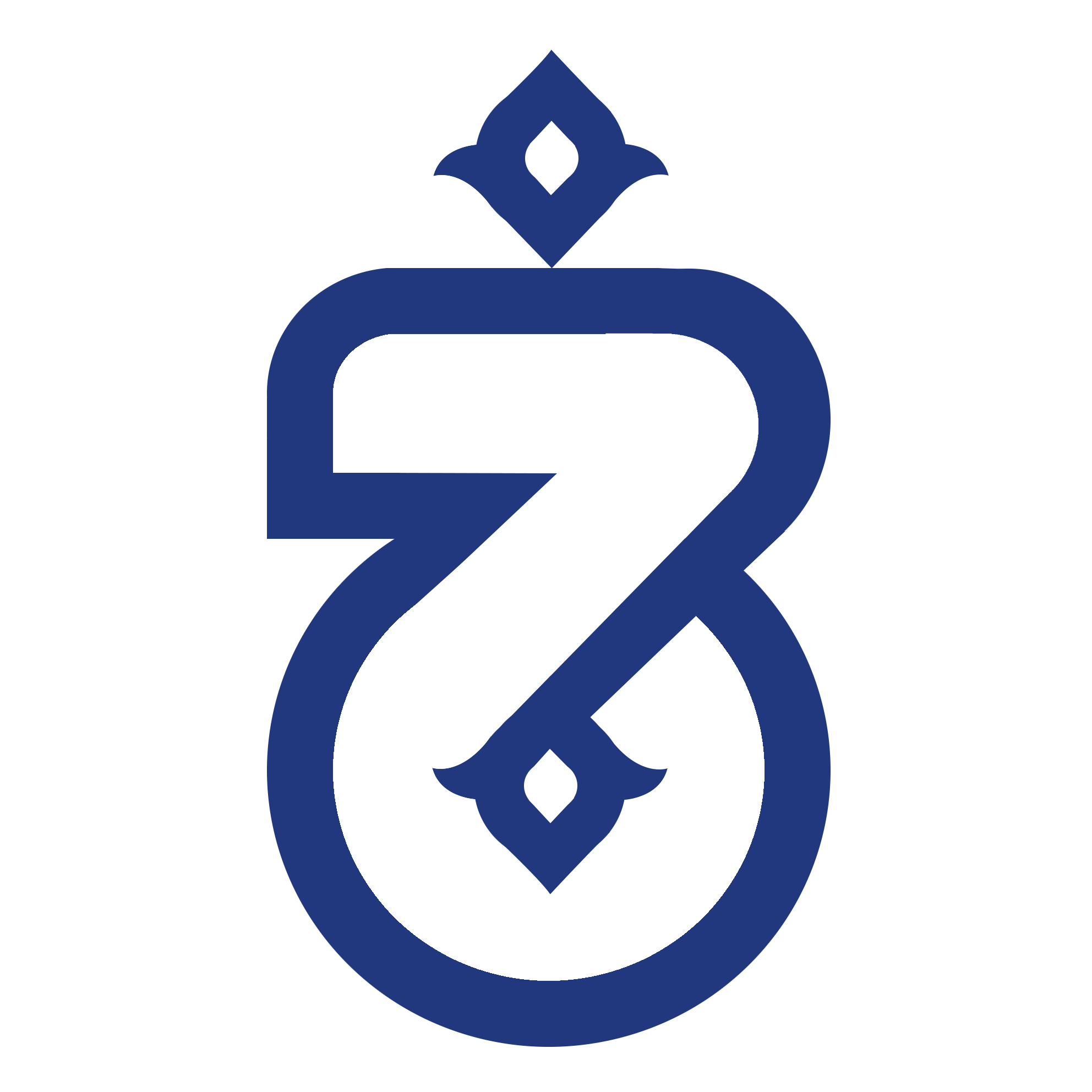 Company Server browser_app